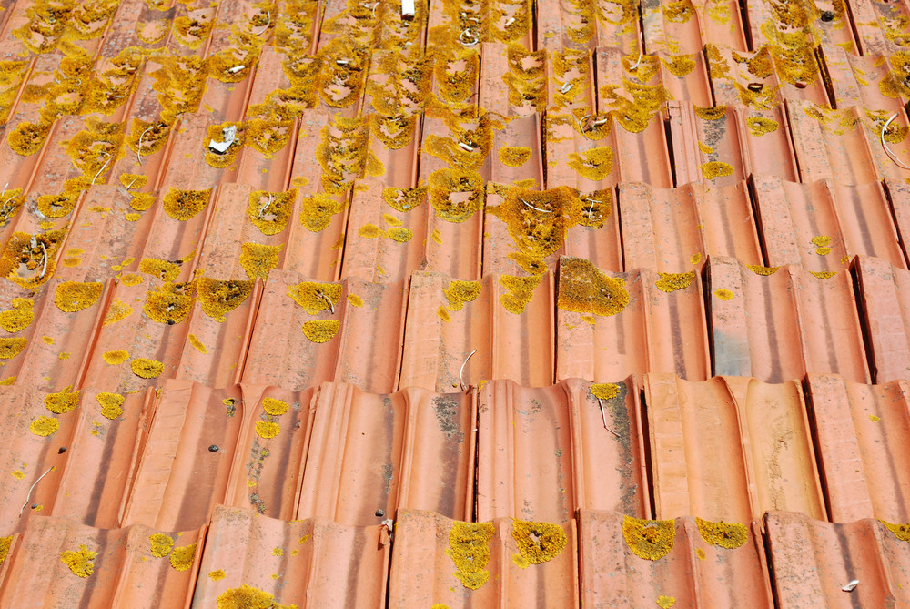 Why Hiring a Licensed Roofer in Urbana, IL Matters